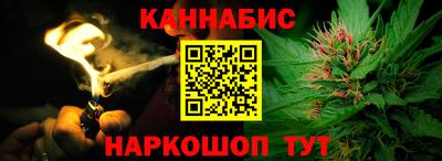 прущие крисы Кингисепп