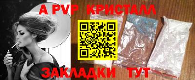 прущие крисы Кингисепп