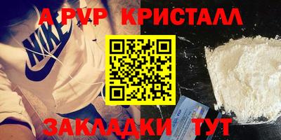 прущие крисы Кингисепп