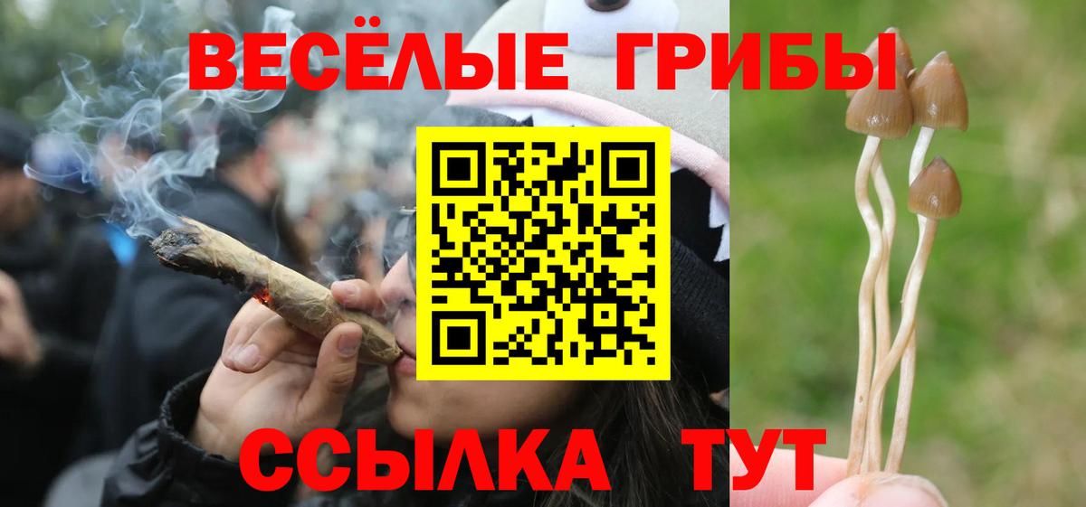 Псилоцибиновые грибы Psilocybine cubensis  Вход с VPN  Биробиджан 